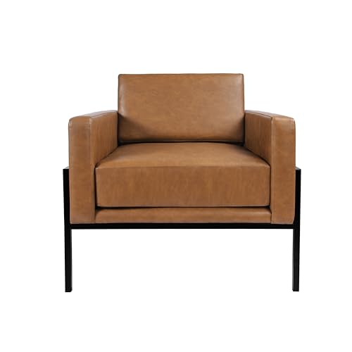 Modern Metal Frame Accent Chair