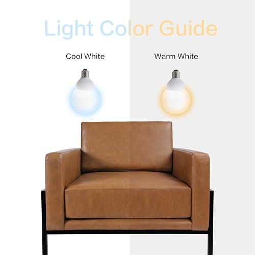Modern Metal Frame Accent Chair
