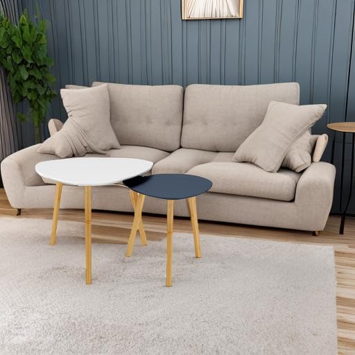 White & Grey Coffee Table