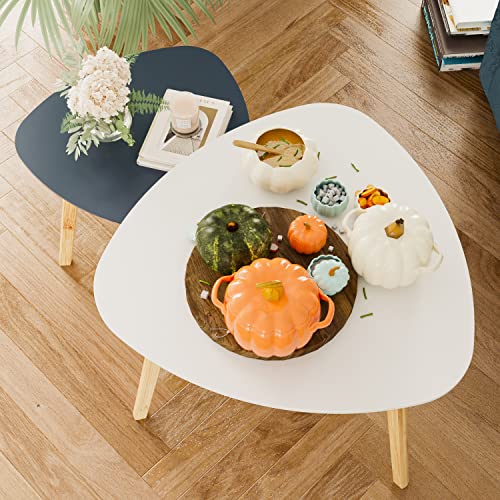 White & Grey Coffee Table