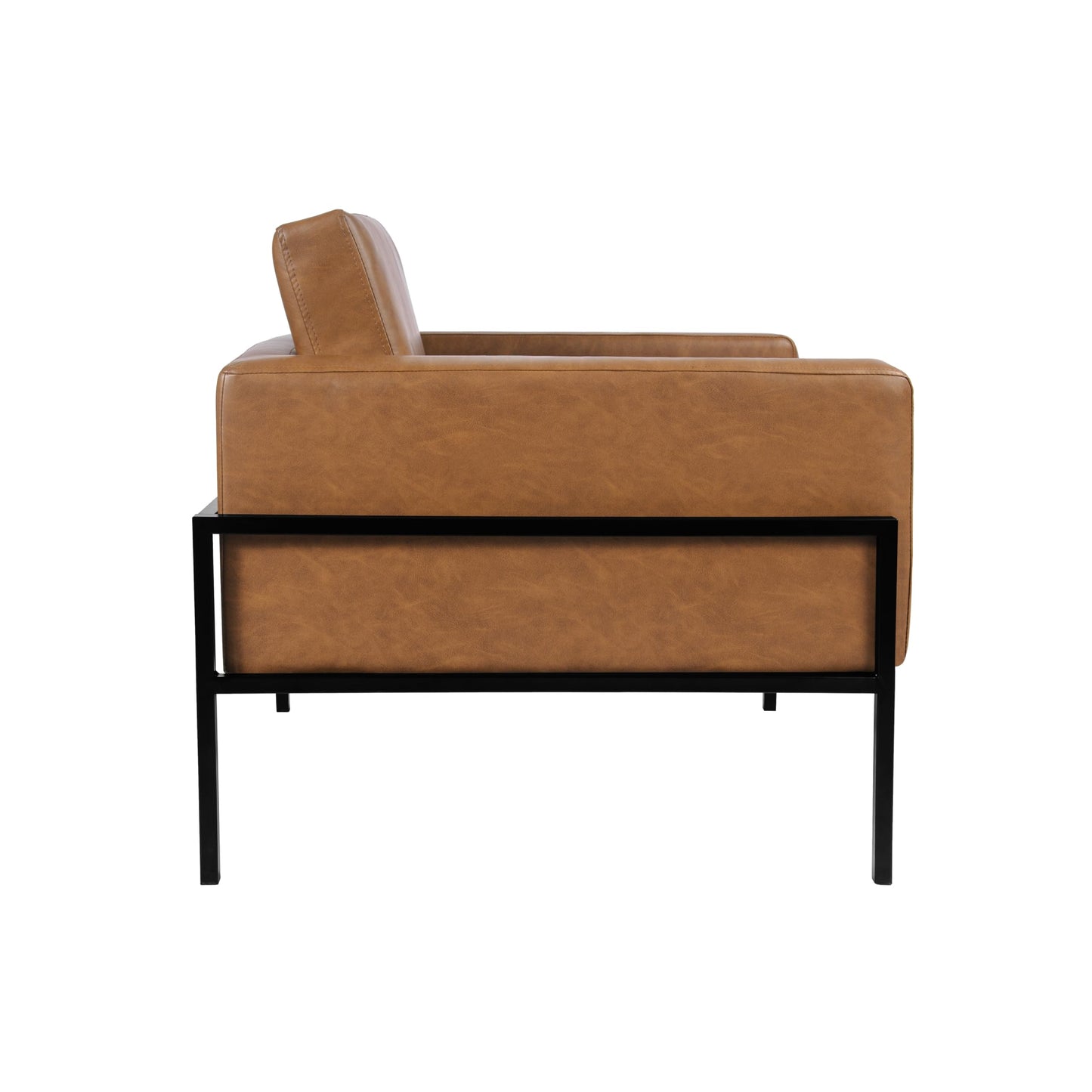 Modern Metal Frame Accent Chair