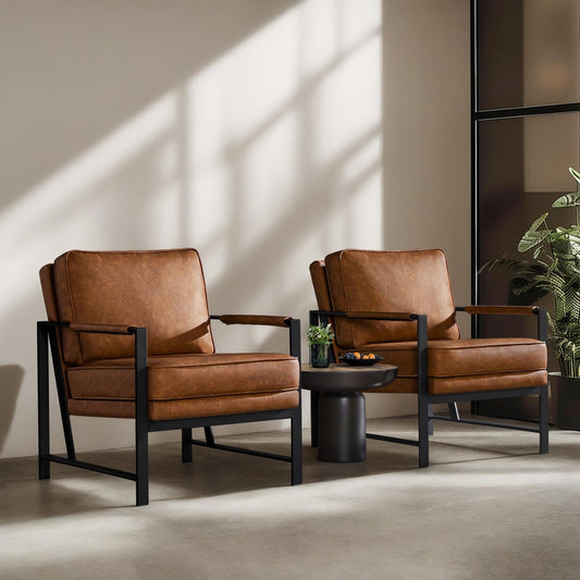 Retro Leisure Accent Chair - Set of 2