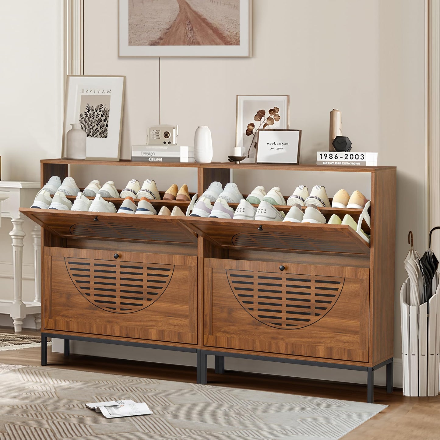 Shoe Storage Cabinet with 2 Flip Drawers