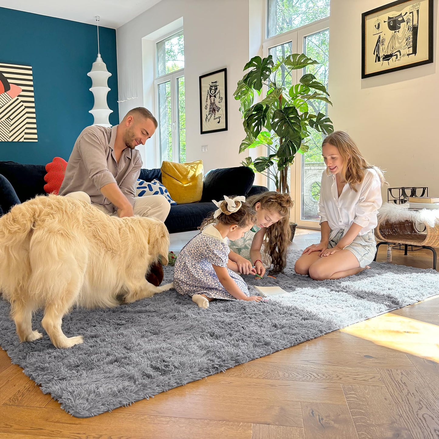 Light Grey Area Rugs