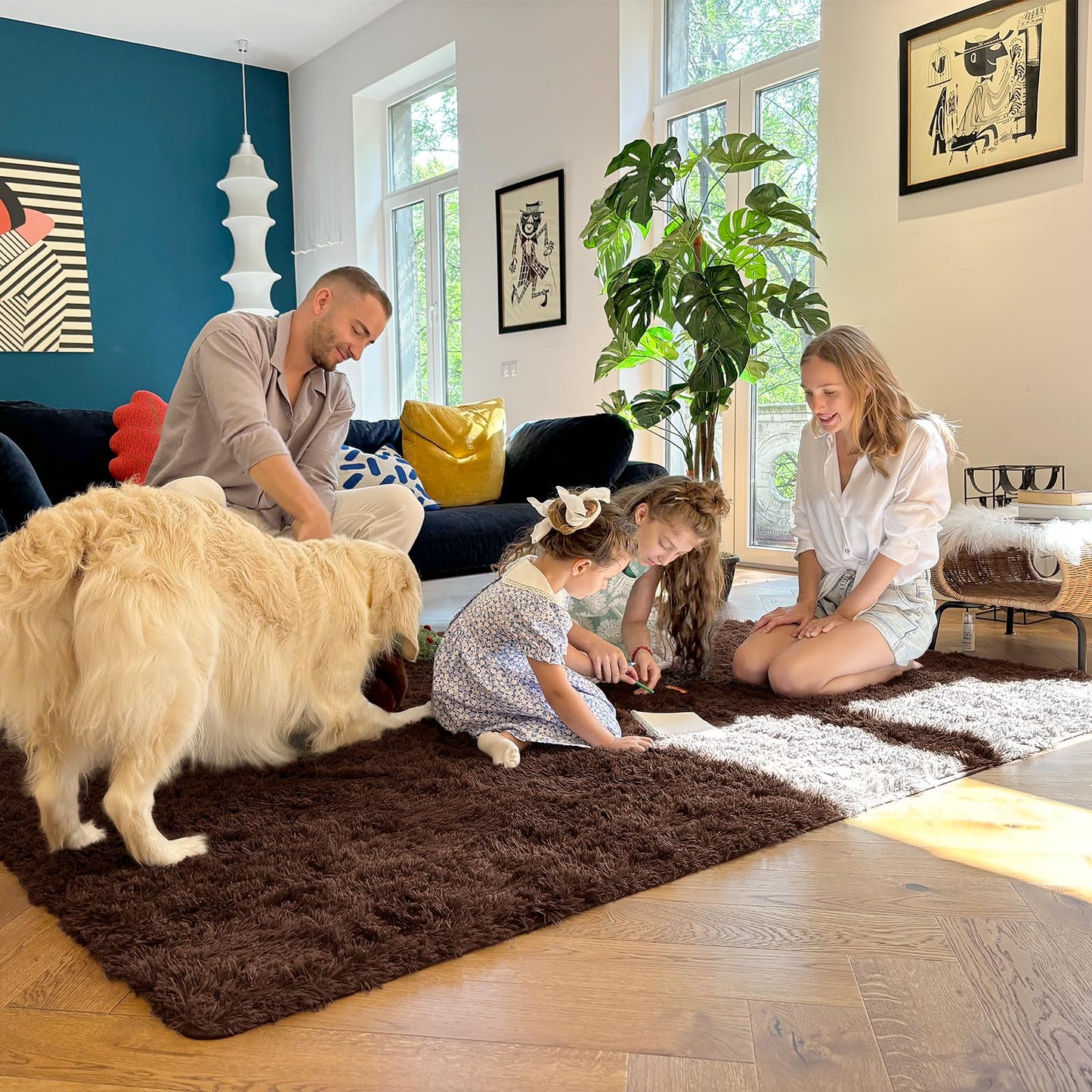 Coffee Area Rugs