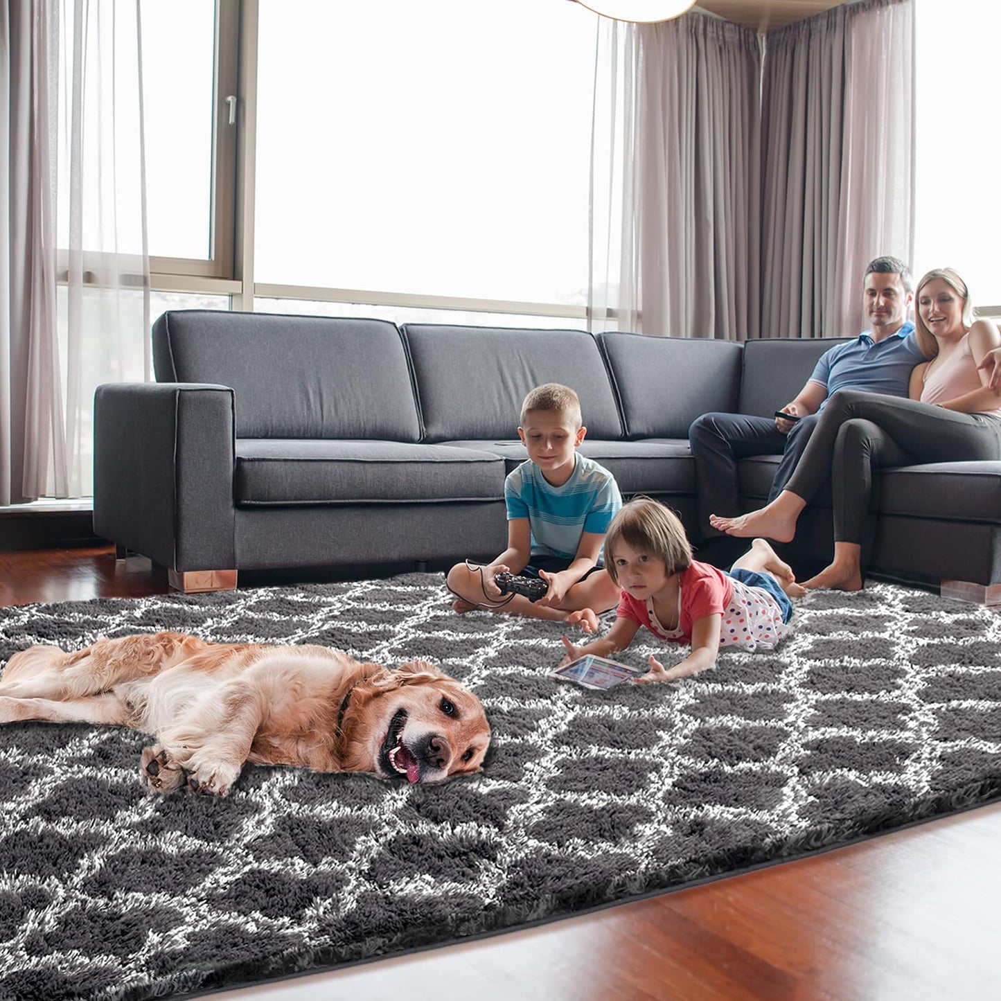 Dark Grey/White Area Rugs