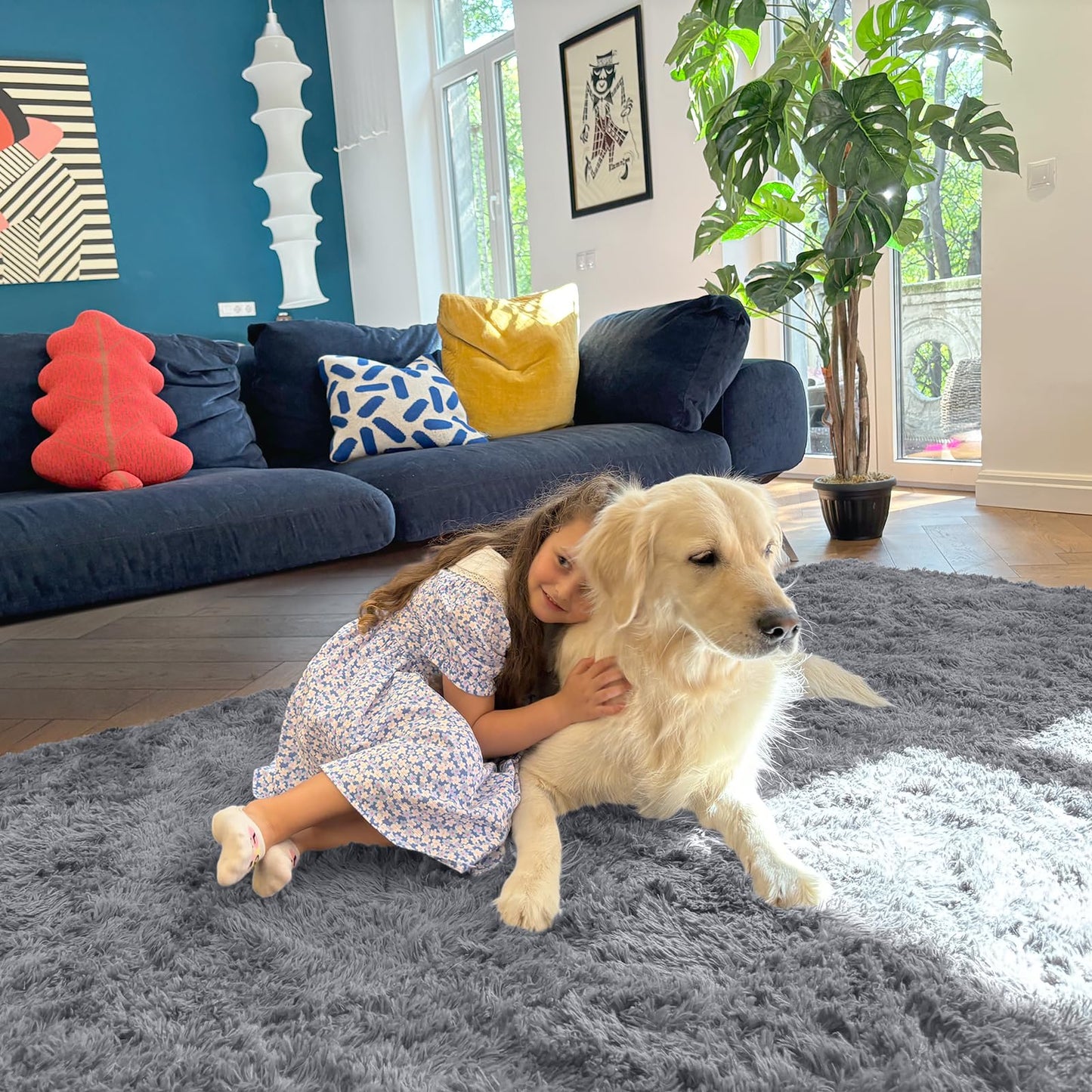 Light Grey Area Rugs