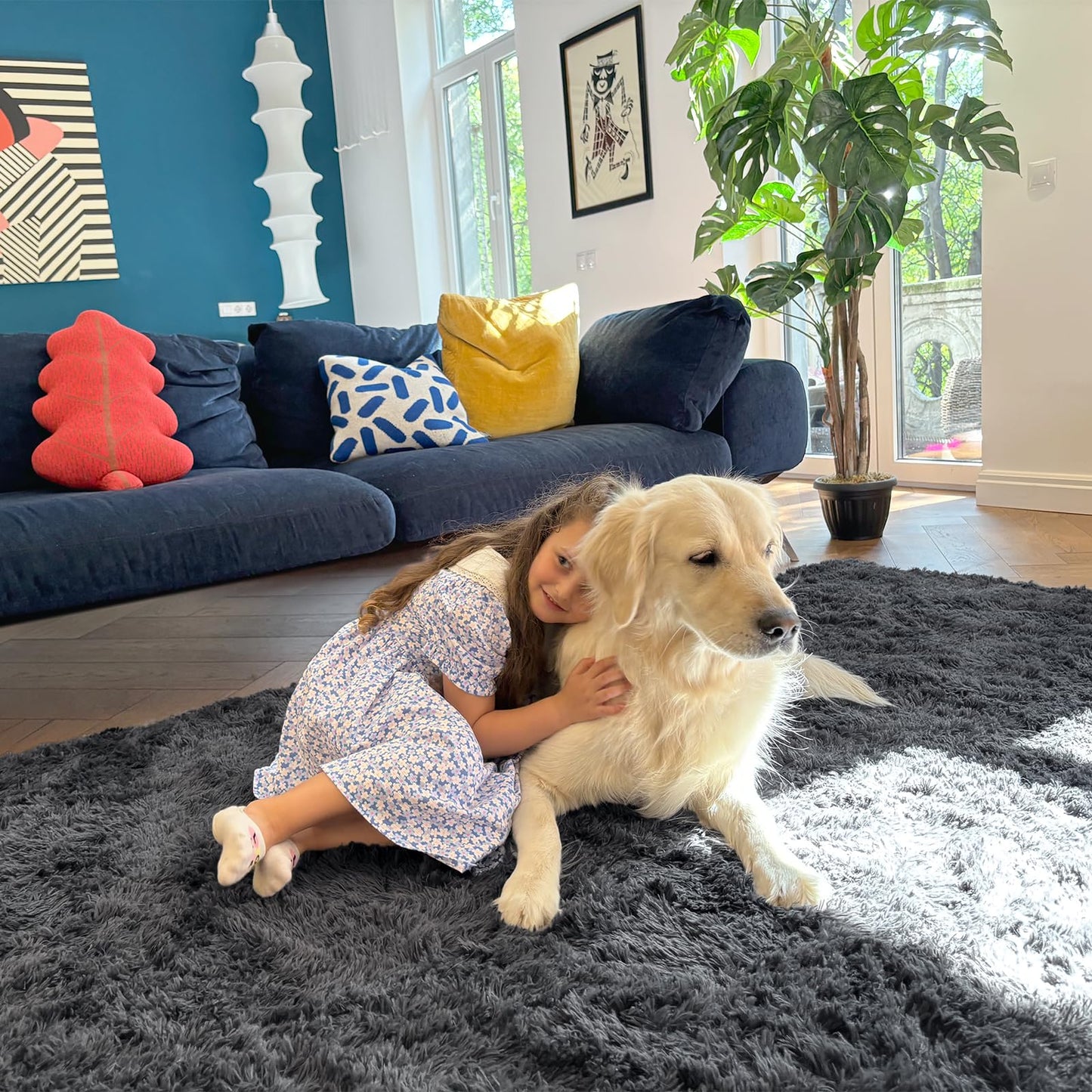 Grey Area Rugs
