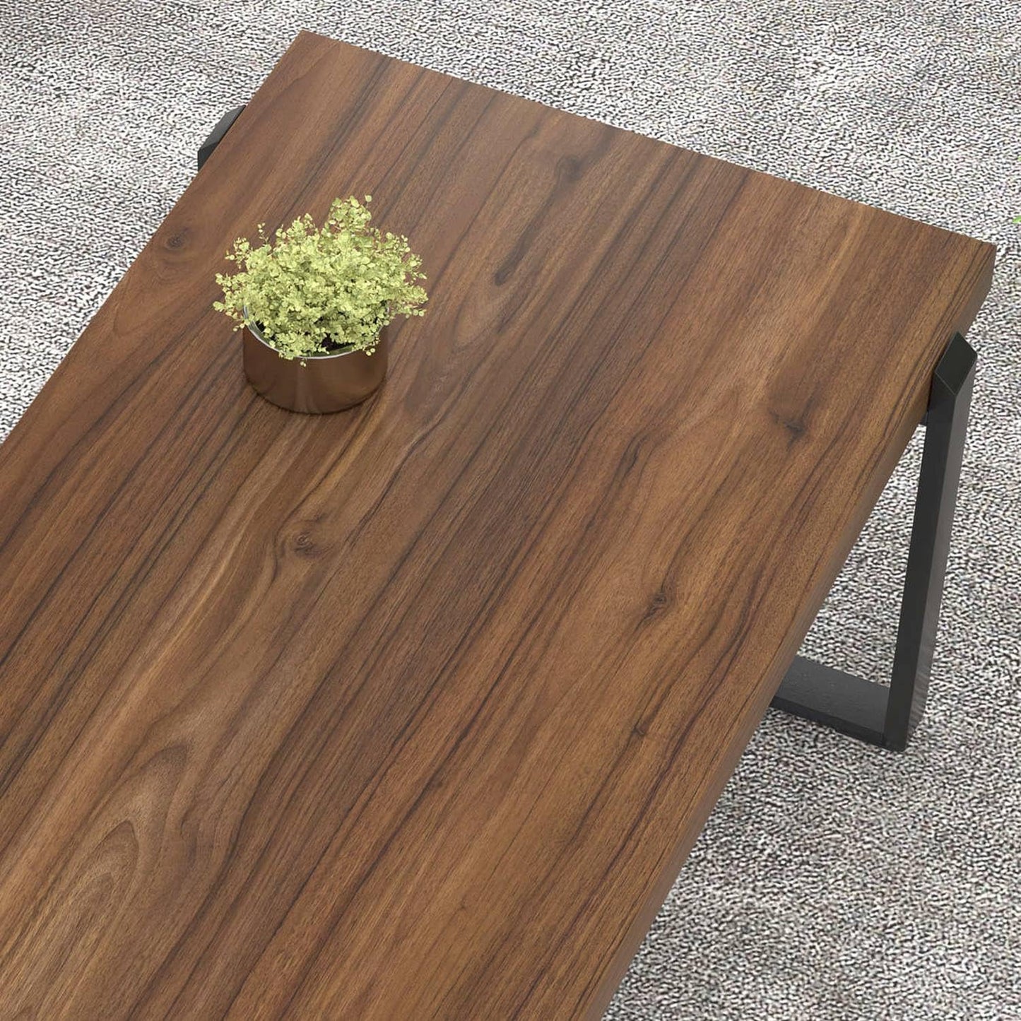 Simple Coffee Table