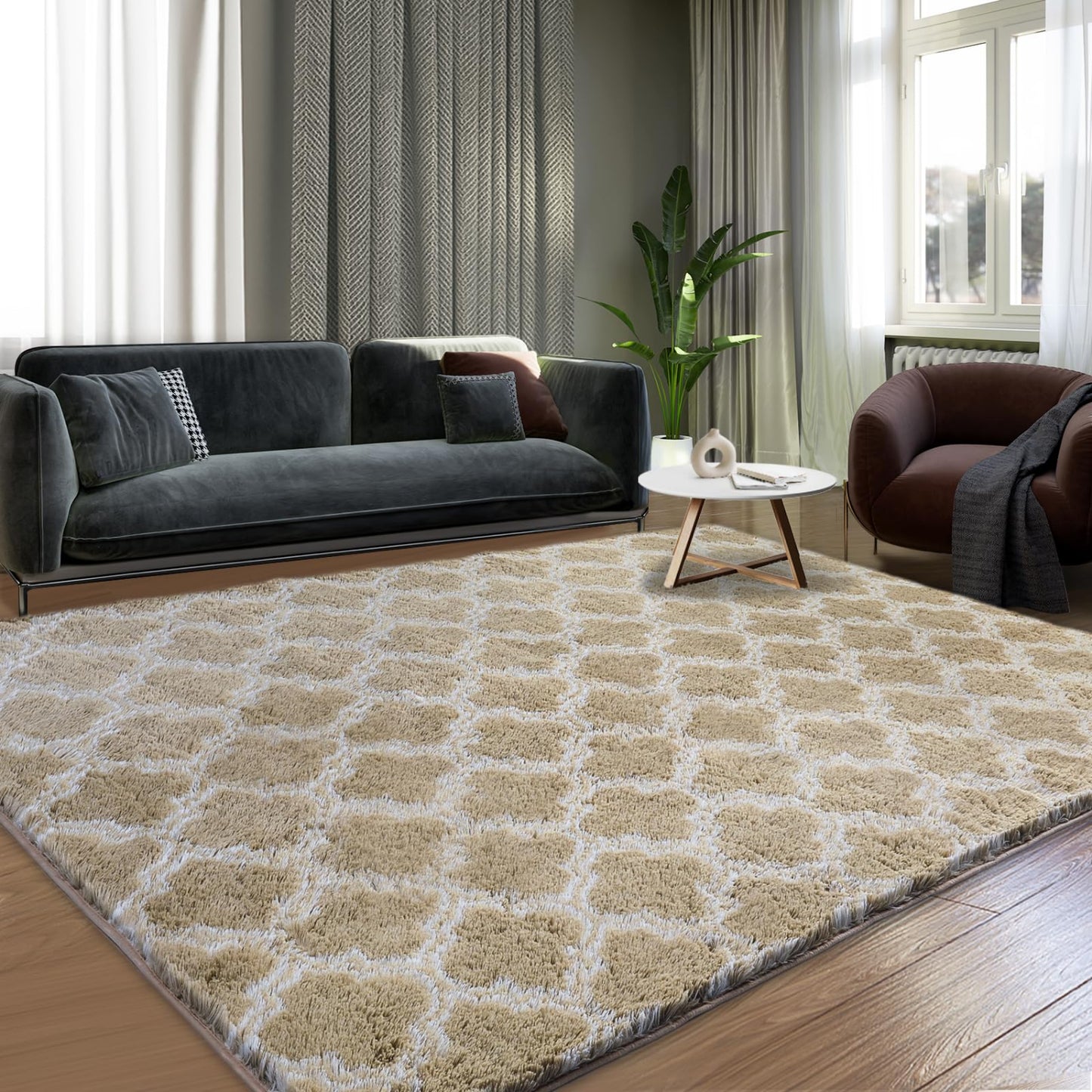 Beige/White Area Rugs