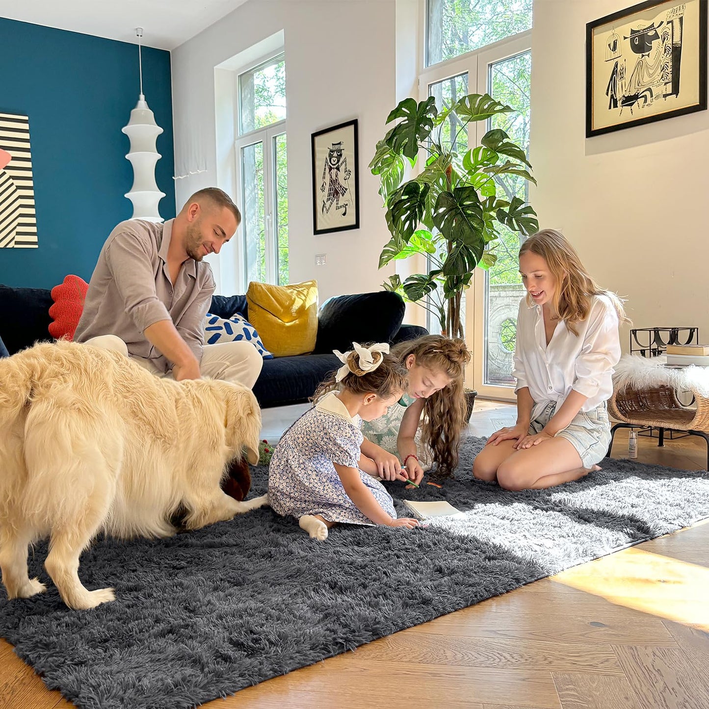 Grey Area Rugs