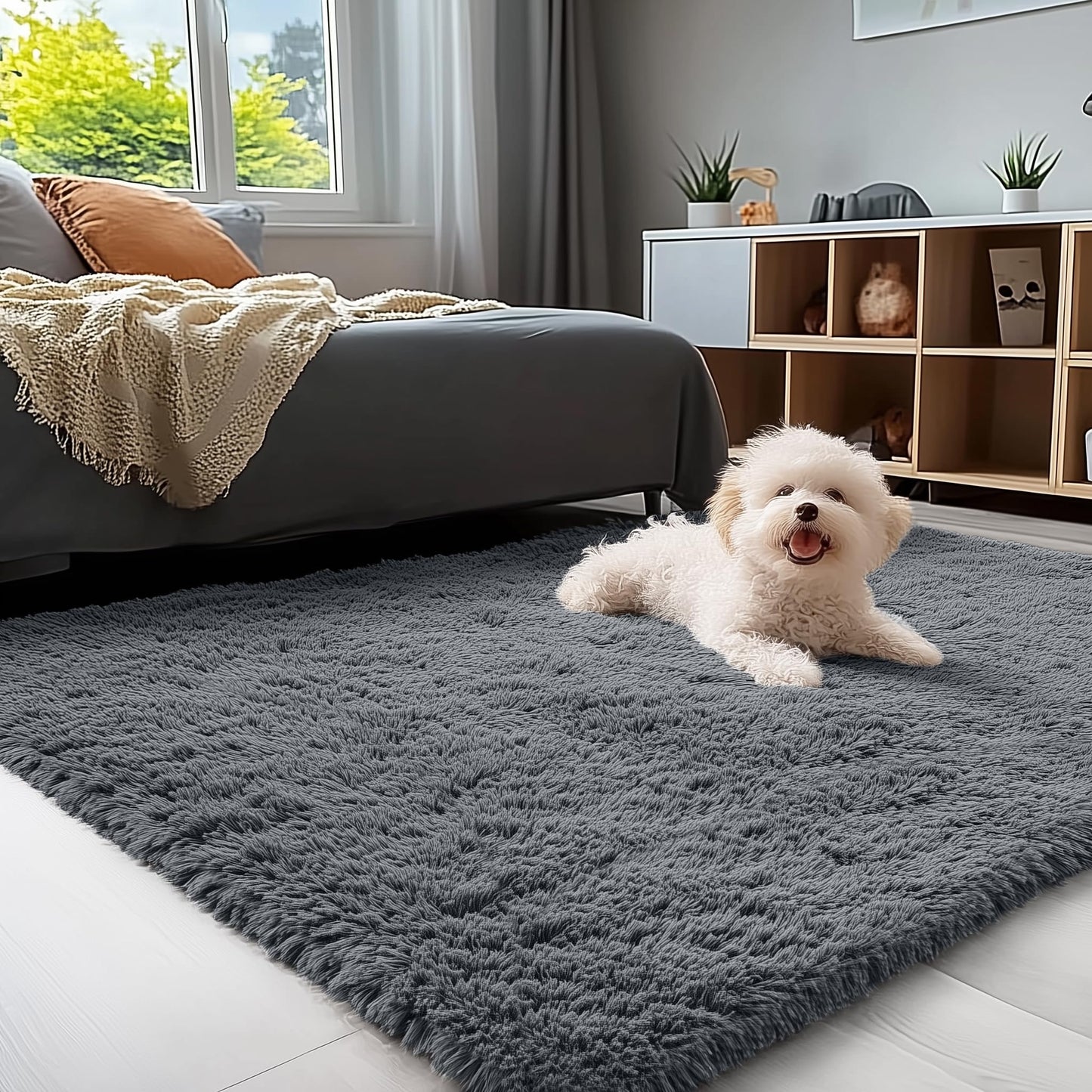 Grey Area Rugs
