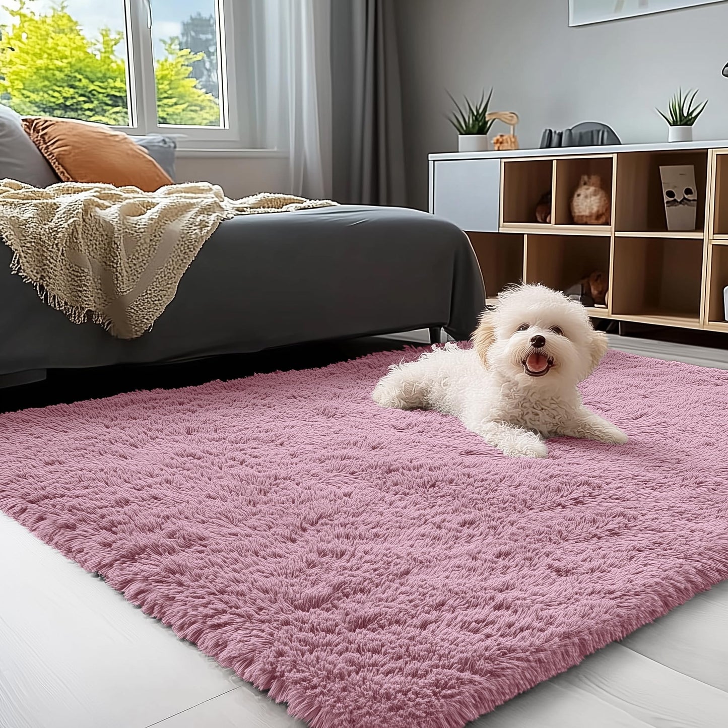 Blush Area Rugs