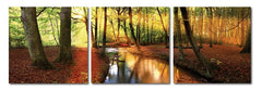Forest Oasis Mounted Photography Print Triptych