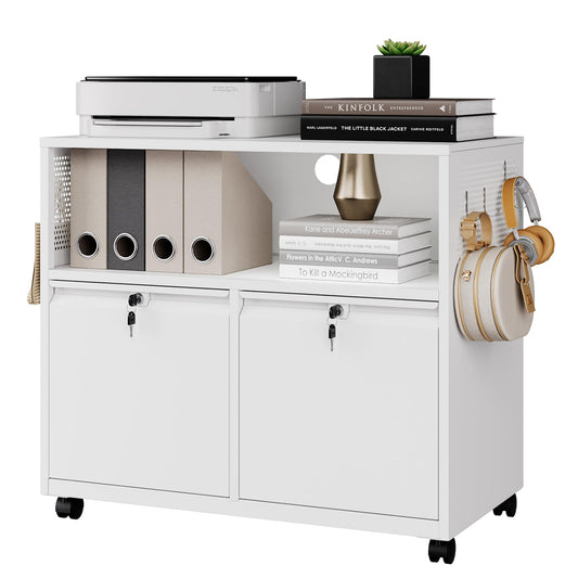 2 Drawer File Cabinet with Lock, Metal Lateral Printer Stand