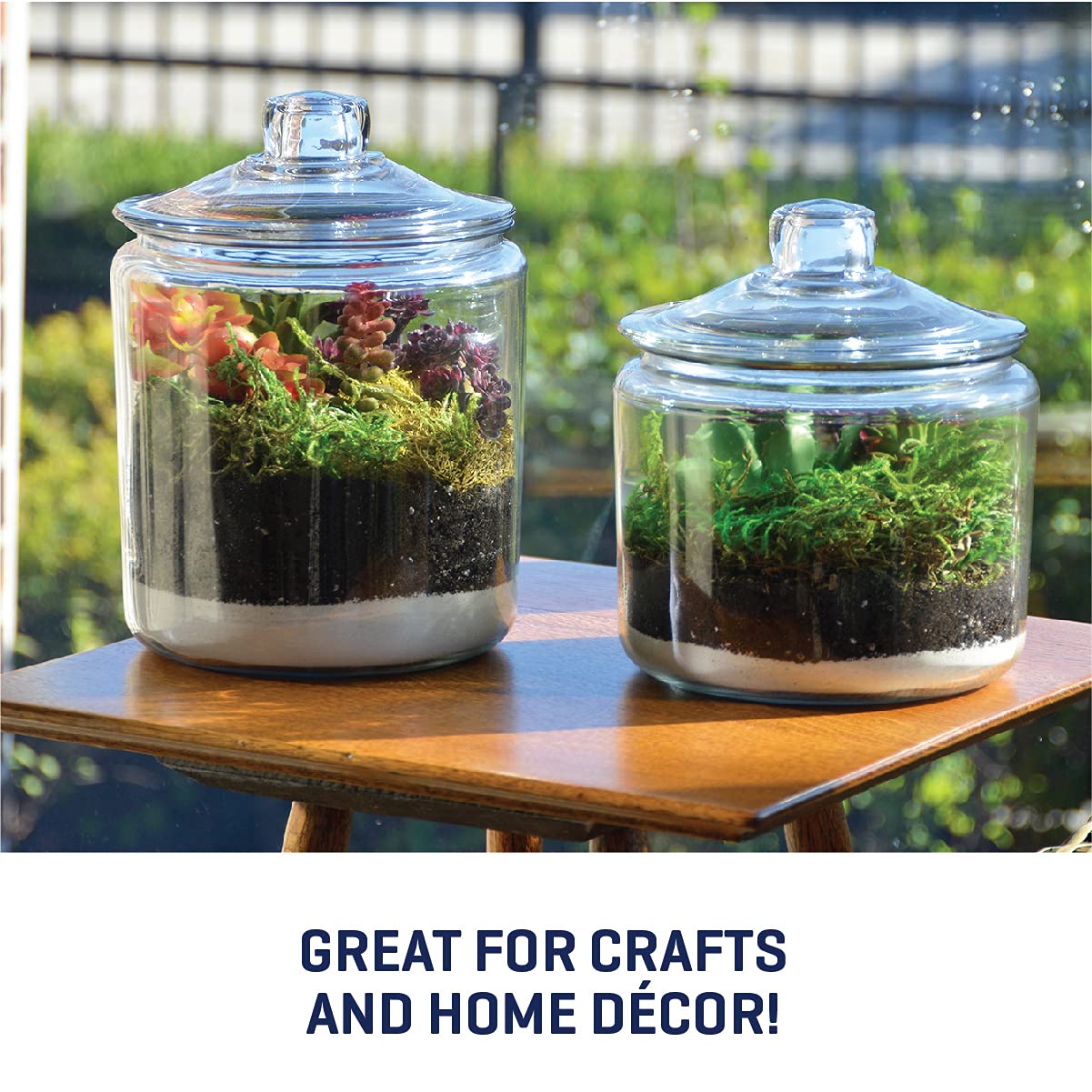 Gallon Glass Jar with Lid, Set of 2
