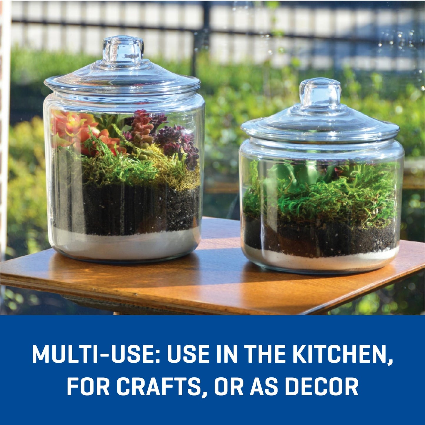 Gallon Glass Jar with Lid, Set of 2