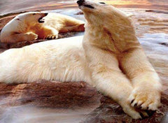 3D Polar Bears Printed Cotton Luxury 4-Piece Bedding Sets/Duvet Covers