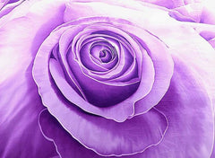 3D Purple Rose Printed Cotton Luxury 4-Piece Bedding Sets/Duvet Covers
