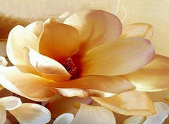 3D Magnolia Printed Elegant Style Cotton Luxury 4-Piece Bedding Sets/Duvet Covers