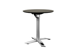 Baxton Studio Yang Black / Silver Folding Event Table in Standard Height