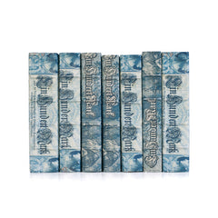 Linear Foot of Blue European Beaux Arts Books