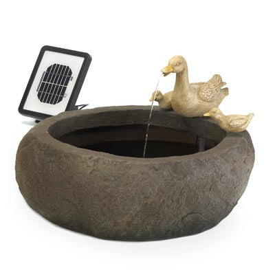 Duck Pond Solar Fountain