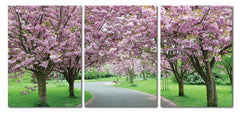 Spring in Bloom Mounted Photography Print Triptych