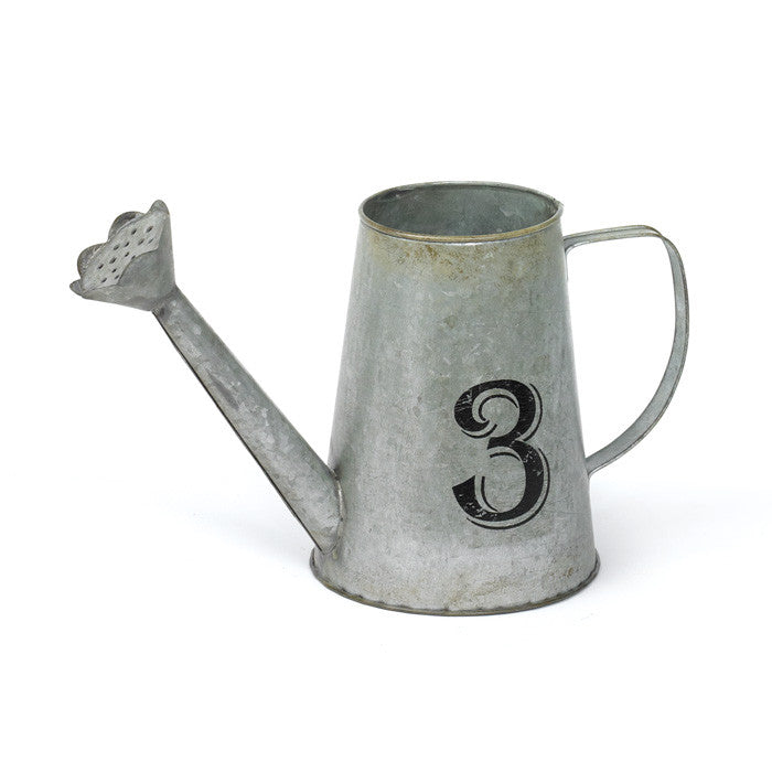 #3 Watering Can- Set Of 2